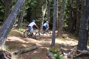 Biker auf einem Trail im Wald