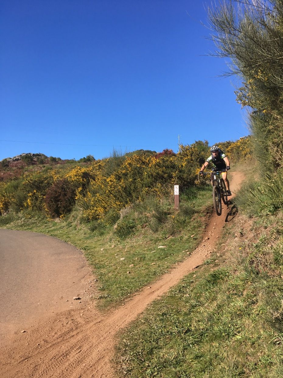 Biker speeding down a trail