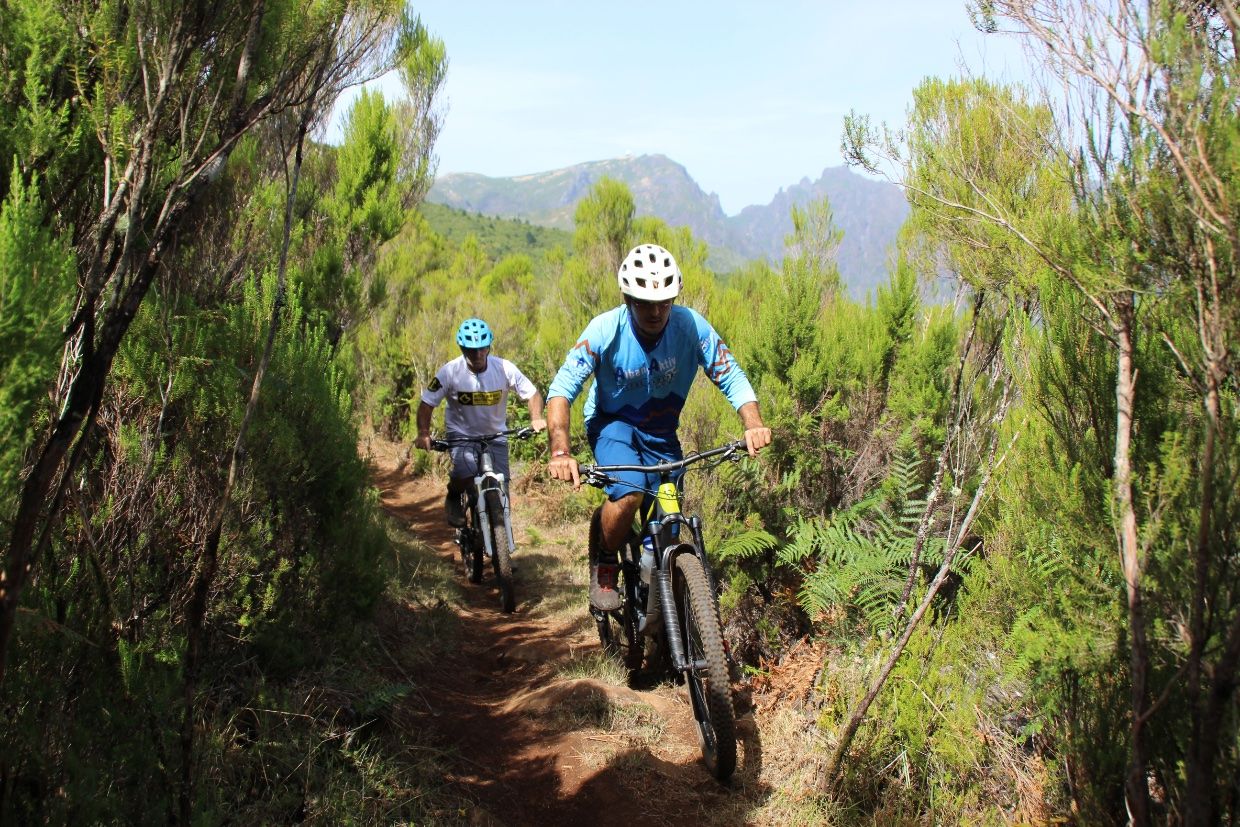 2 Bikers on a forest track