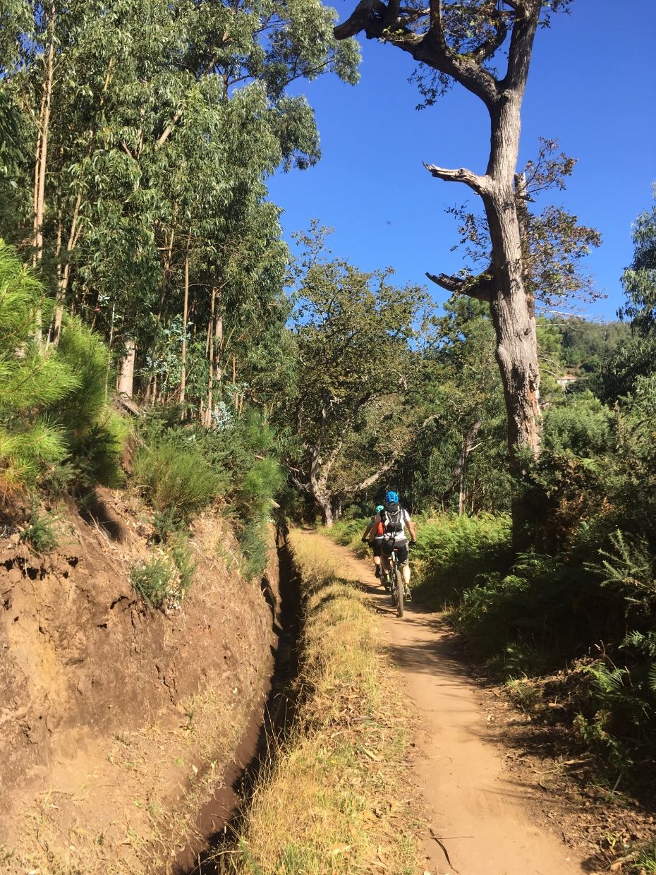 Ascending along a levada