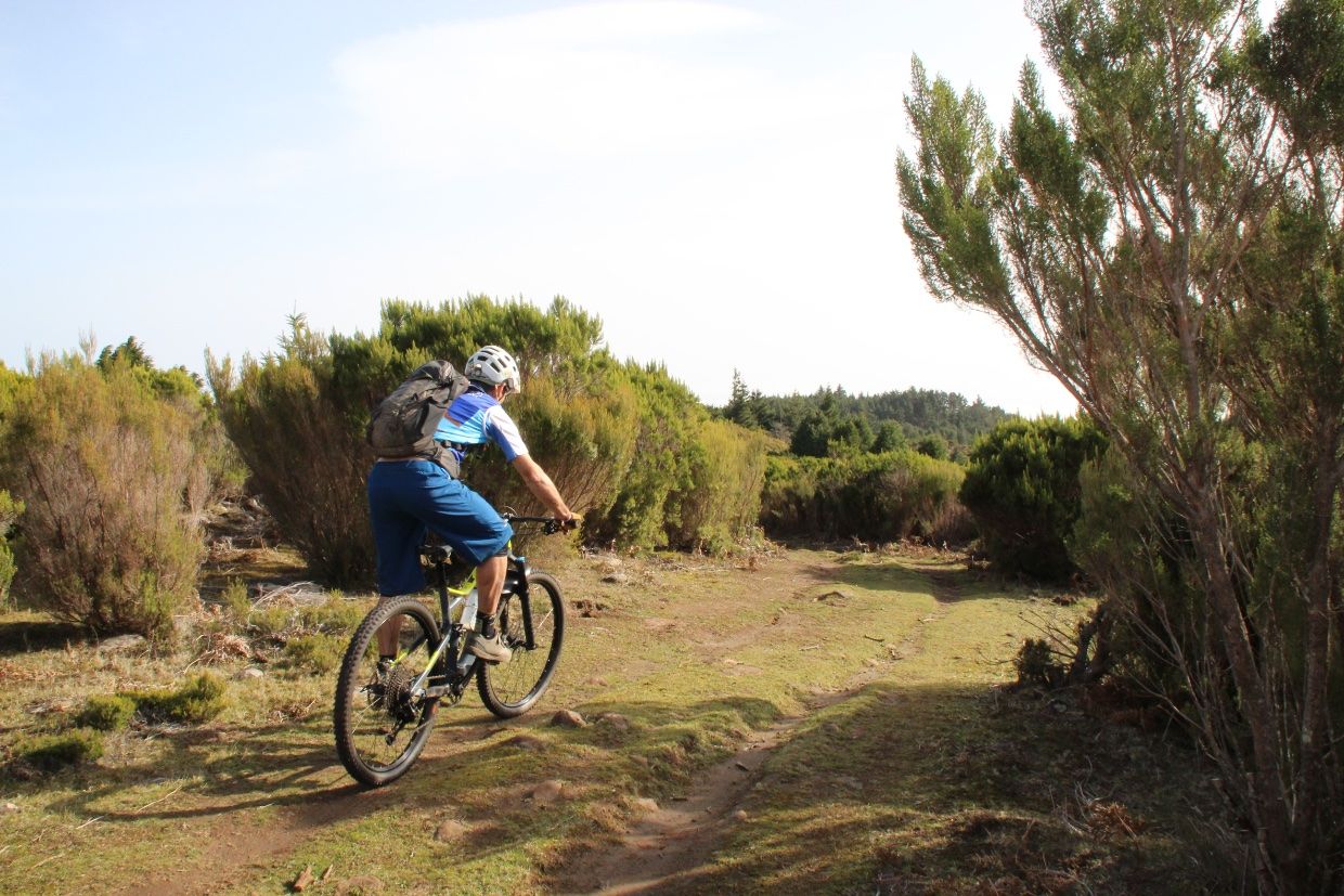 Biker fährt durch Büsche