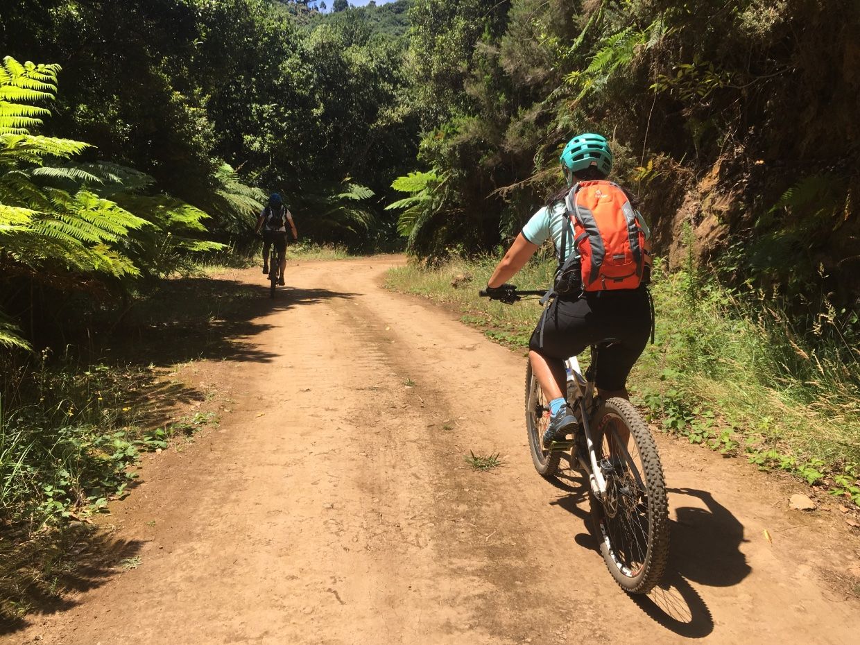 Biken durch den Wald