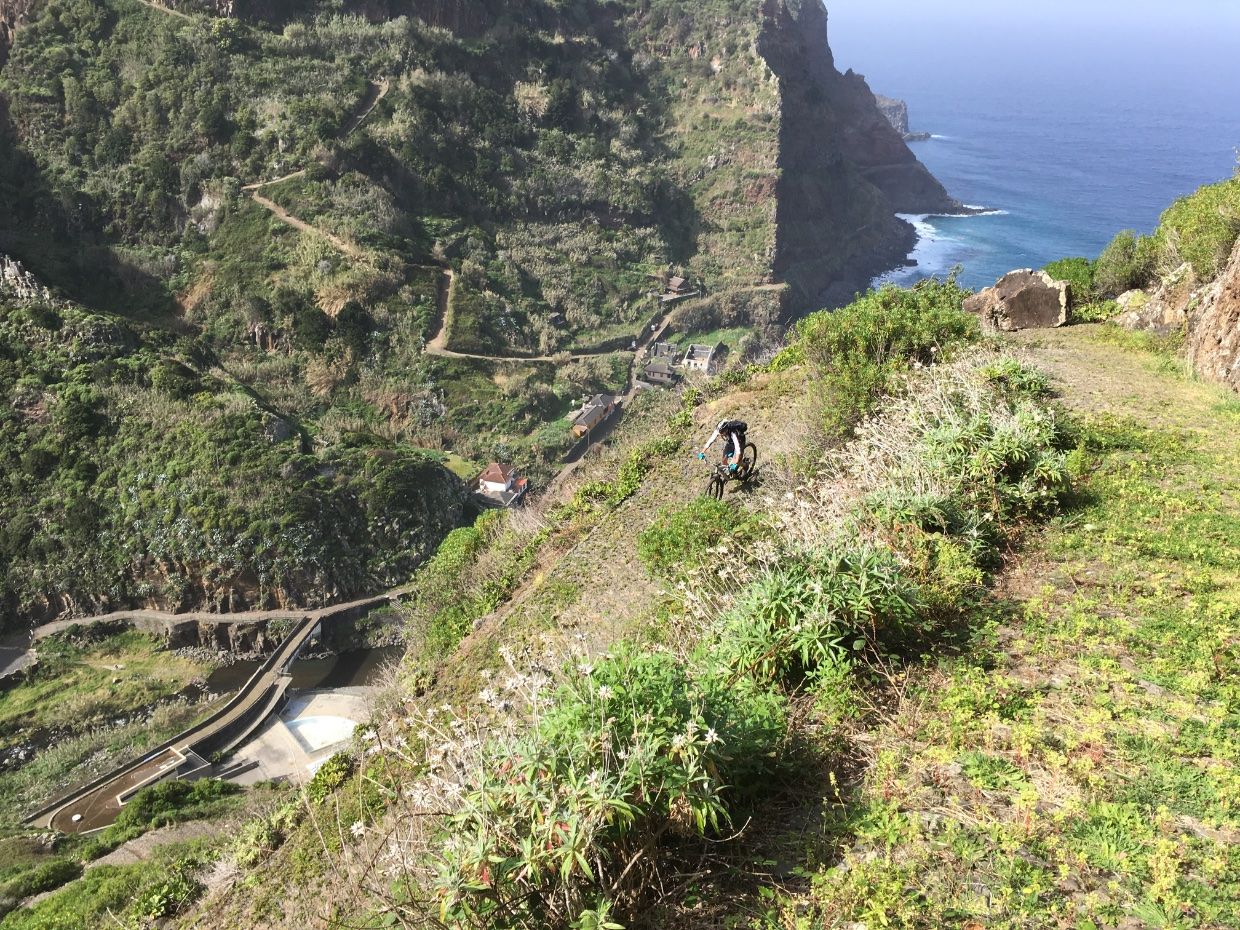 Overview of the landscape