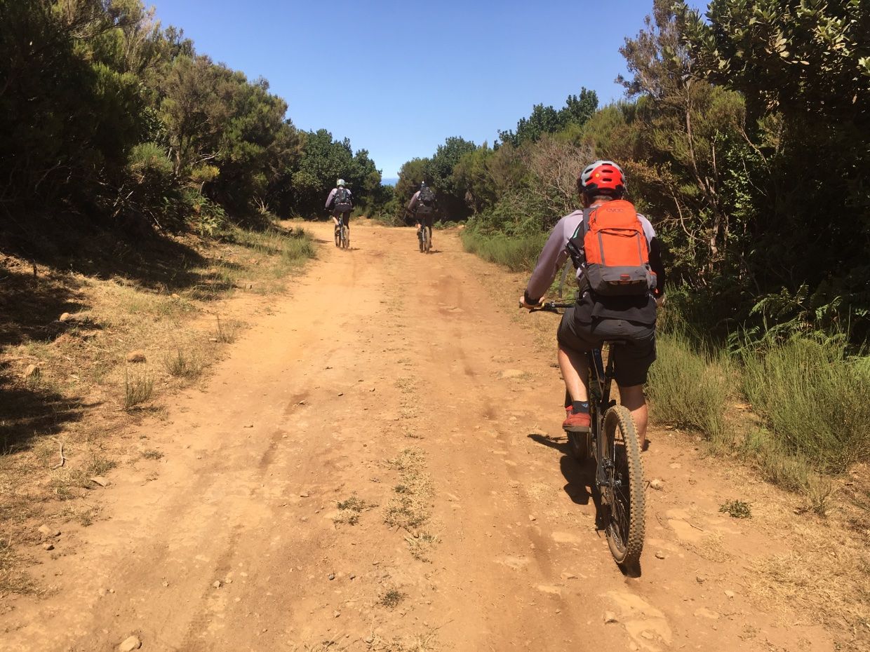 Biker following the group