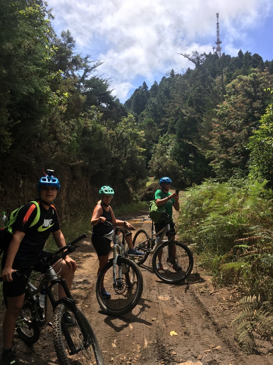 3 Biker auf einem Waldweg