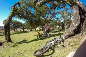 Biker take rest under a tree