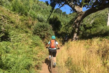 Women biking through a laurel forest