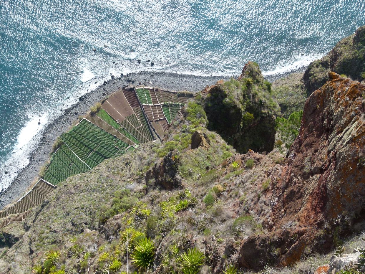 View of Cabo Girao