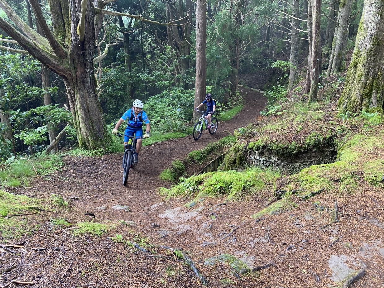 Biker auf Wald- und Nebenwegen