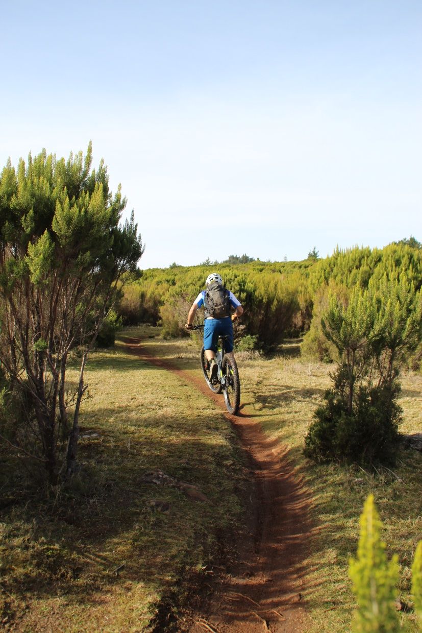 Biker on a field track