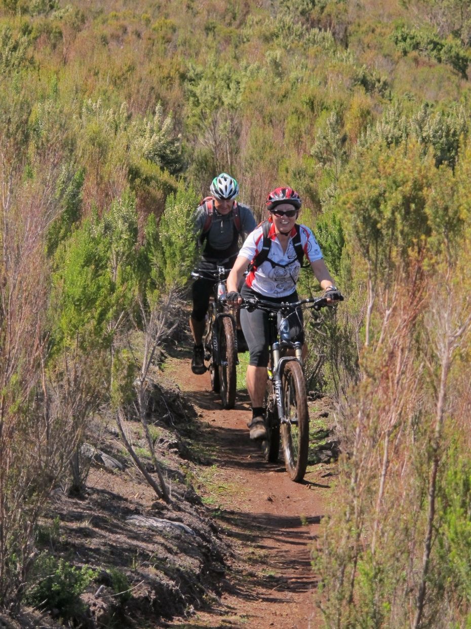 Biken auf einem Weg durch die Sträucher